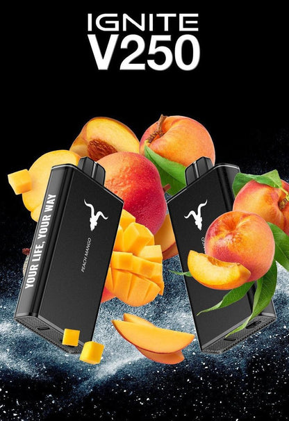 Ignite V250 25 000 Puffs Disposable Vape – 5% Nic, Rechargeable, Dubai, UAE - Vape Escape UAE
