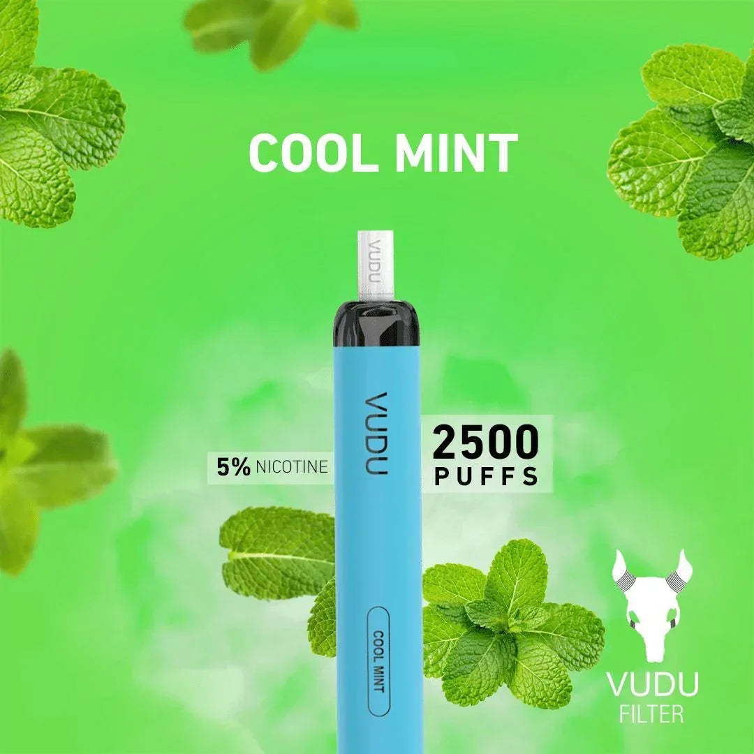Vudu Filter 2500 Puffs Disposable Vape - Vape Escape UAE