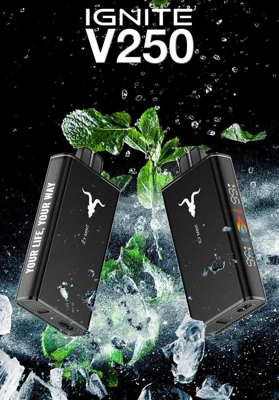 Ignite V250 25 000 Puffs Disposable Vape – 5% Nic, Rechargeable, Dubai, UAE - Vape Escape UAE