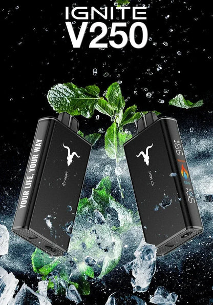 Ignite V250 25 000 Puffs Disposable Vape – 5% Nic, Rechargeable, Dubai, UAE - Vape Escape UAE
