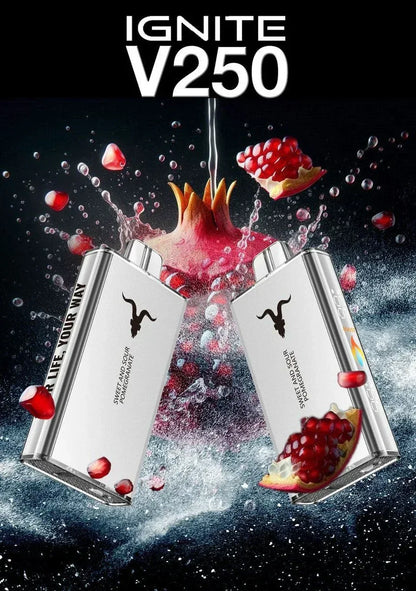 Ignite V250 25 000 Puffs Disposable Vape – 5% Nic, Rechargeable, Dubai, UAE - Vape Escape UAE