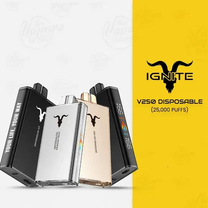 Ignite V250 25 000 Puffs Disposable Vape – 5% Nic, Rechargeable, Dubai, UAE - Vape Escape UAE