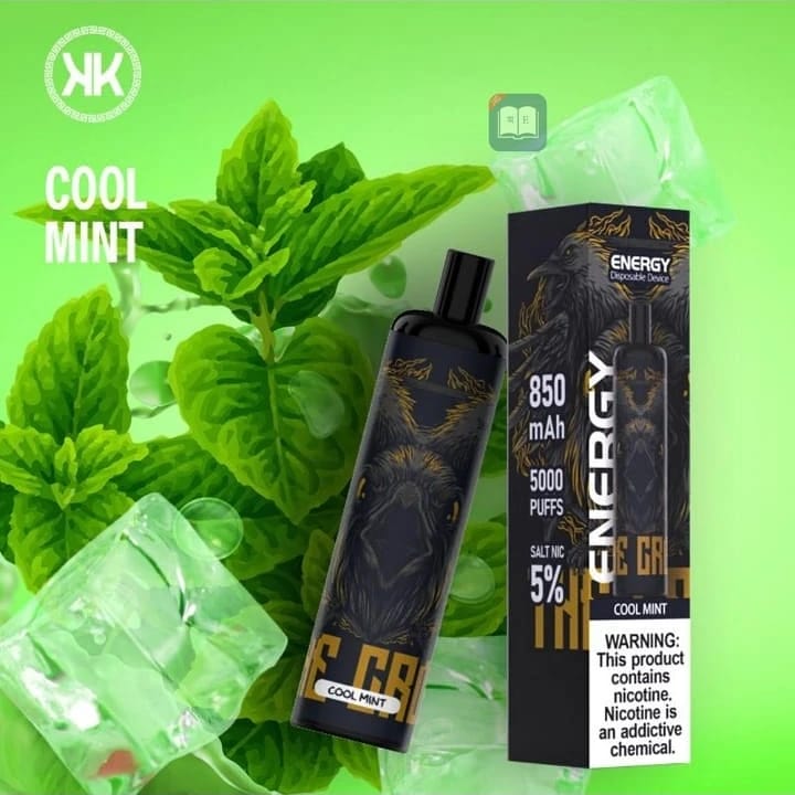 Disposable vape in cool mint flavor, black mouthpiece, 5000 puffs, 5% salt nic